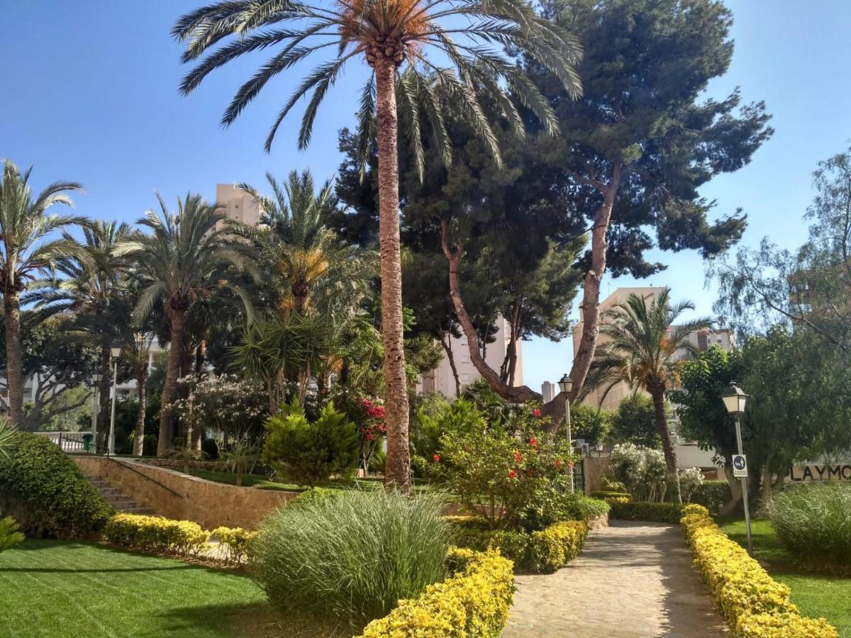 Wifi Loix Apartment Benidorm Bagian luar foto